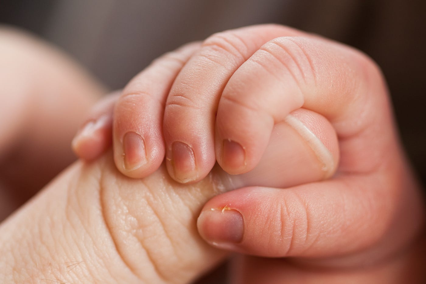 Empowering LGBTQIA Surrogates