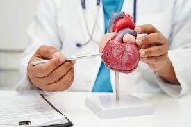 The Heart Center Approach to Personalized Cardiovascular Care